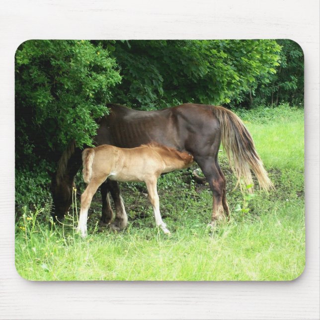 Foal Mousepad Musmatta (Framsidan)