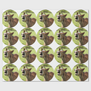 FOAL PRESENTPAPPER
