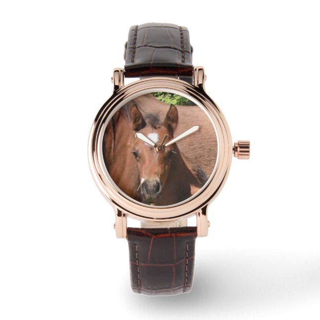 Foal Watch av Hevener Armbandsur (Framsida)