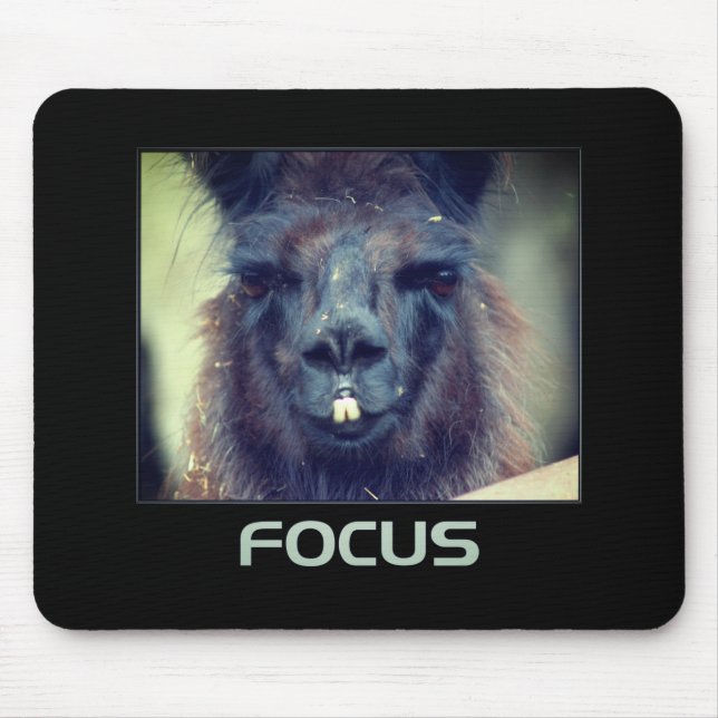 Focus Black Llama Inspirational Musmatta (Framsidan)