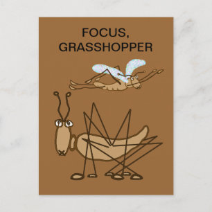 FOCUS GRASSHOPPER VYKORT