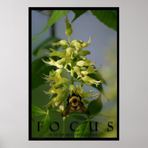 Focus inspiration-meddelande Poster Art Photo Prin