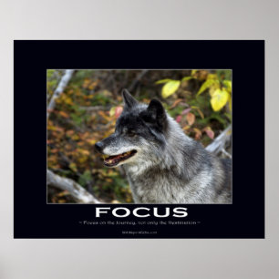 FOCUS Motiverande Poster