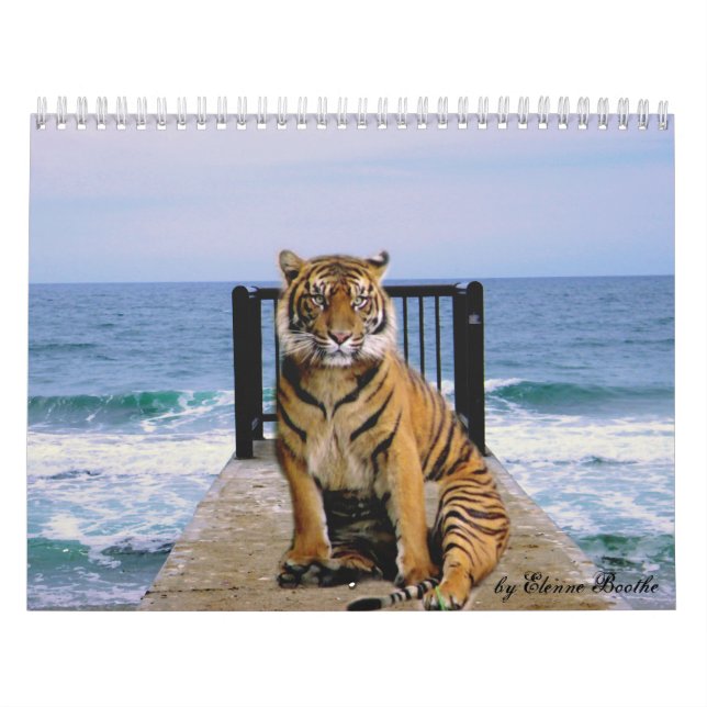 Focus & Strength_2010 Calendar-by Elenne Boothe Kalender (Omslag)