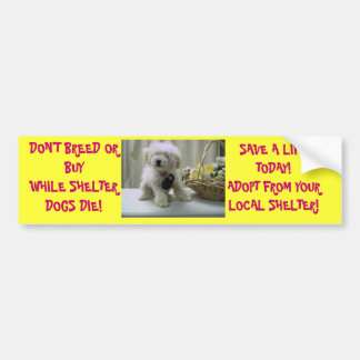 FÖDA UPP INTE ELLER KÖP! ADOPTERA BILDEKAL