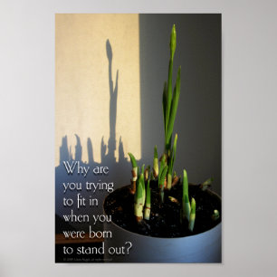 Född för att Poster ut