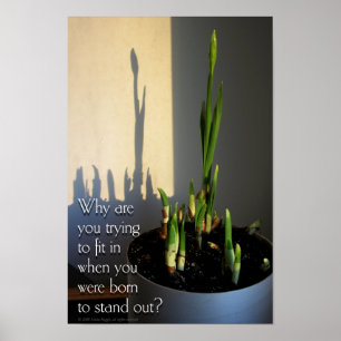 Född för att Poster ut