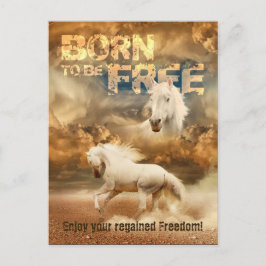 Född för att vara fri, Vildlevande: Vita hästen - Vykort