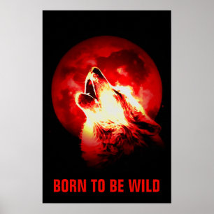Född för att vara Vild Motiv Varg Howling Måne Red Poster