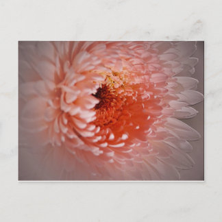 Född för lyckad vykort