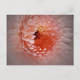 Född för lyckad vykort