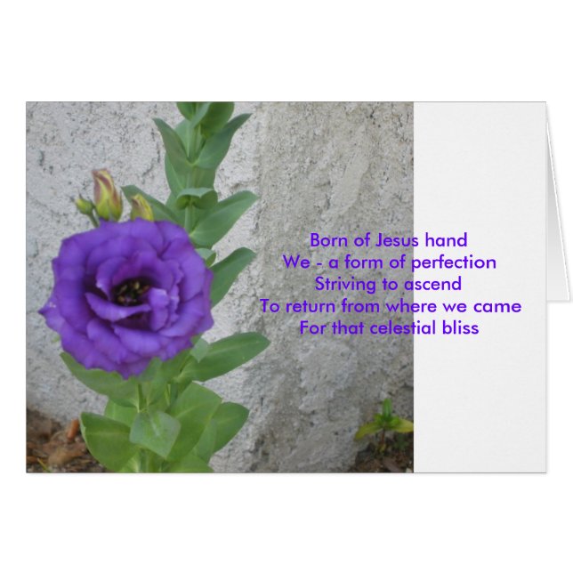 Född på Jesus Card Hälsningskort (Framsidan Horizontal)