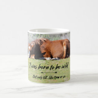 Född som vild kaffemugg