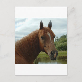 Födelsedag 012 vykort