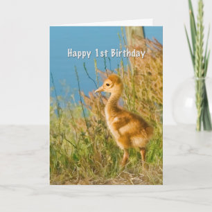 Födelsedag 1st, babySandhill kran Kort