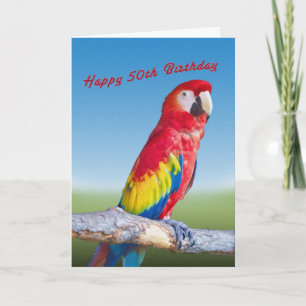 Födelsedag, 50:e, Macaw Parrot Kort