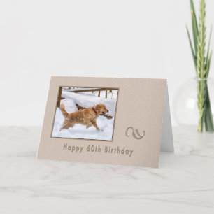 Födelsedag, 60:e, Golden Retriever Hund i Snö Kort