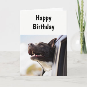 Födelsedag A dag som inget annat Humor-Hund-kort Kort