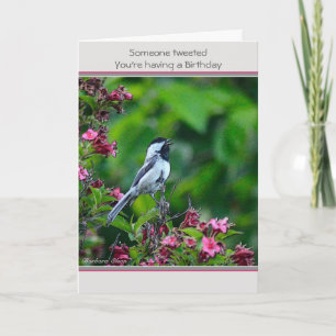 Födelsedag: anpassa kort