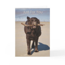 Födelsedag - bara för dig