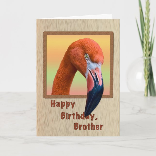 Födelsedag, bror, Flamingo Bird Kort (Framsida)