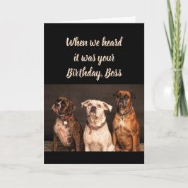Födelsedag Chef Humor från hela USA Boxer Hund Rol Kort