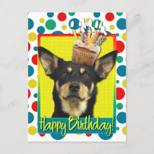Födelsedag Cupkaka - Australian Kelpie - Jude Vykort