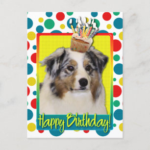 Födelsedag Cupkaka - Australian shepherd Vykort