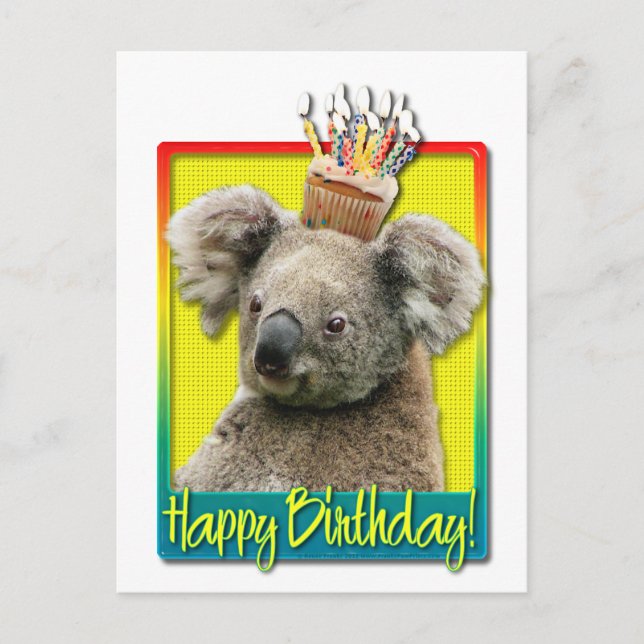 Födelsedag Cupkaka - Koala Vykort (Framsida)
