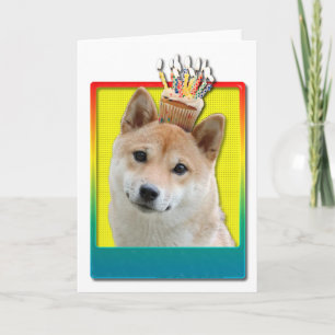 Födelsedag - Cupkaka - Shiba Inu Kort