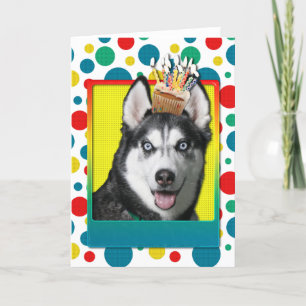 Födelsedag Cupkaka - Siberian husky Kort