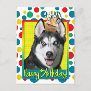 Födelsedag Cupkaka - Siberian husky Vykort