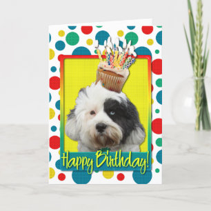 Födelsedag Cupkaka - tibetansk terrier Kort
