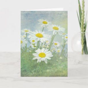Födelsedag Daisy Fält Kort