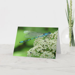 Födelsedag Dragonfly Kort