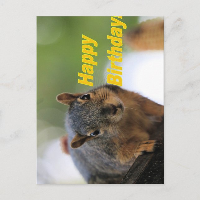 Födelsedag ekorre  vykort (Framsida)