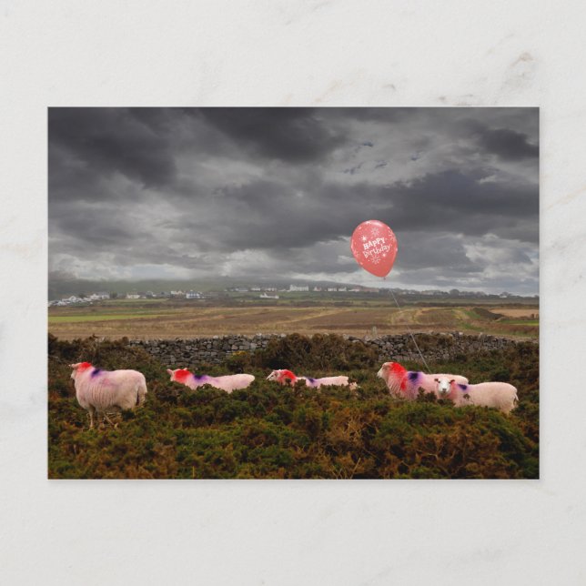 Födelsedag får vykort (Framsida)