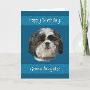 Födelsedag, farmor, Shih Tzu Hund Kort