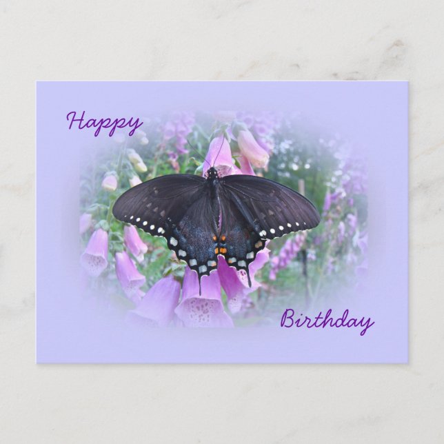 Födelsedag fjäril Spicebush Swallowtail Vykort (Framsida)