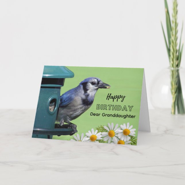 Födelsedag för Blue Jay- sondotter vid fågelmatare Kort (Framsida)
