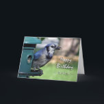 Födelsedag för Brother, Blue Jay på fågelmataren Kort<br><div class="desc">En Blue Jay på en fågelmatare visas på födelsedagskortet för en bror. Underbart kort för fågelvaktmästaren i ditt liv. Image and verse copyright © 2014,  Shoaff Ballanger Studios.</div>