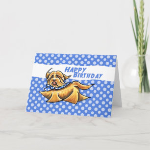 Födelsedag för Havanese blåttpolka dots Kort
