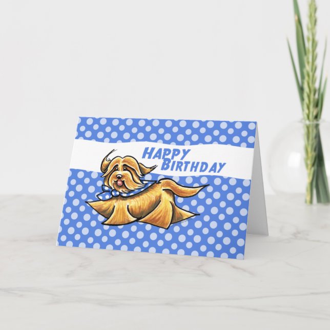 Födelsedag för Havanese blåttpolka dots Kort (Framsida)