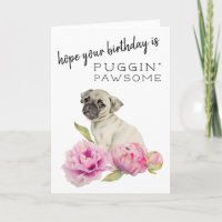 Födelsedag för Puggin Pawsome gullig mopshund