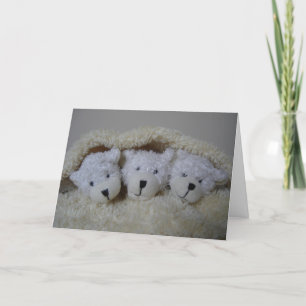 Födelsedag för triplets meddelande