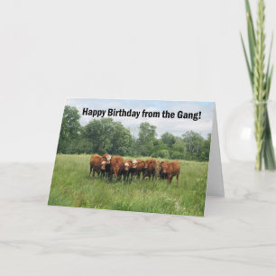Födelsedag från grupp kort