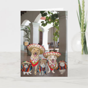 Födelsedag från grupp på spanska kort