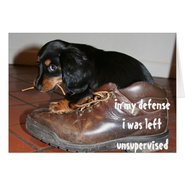 Födelsedag Från Hund Valp Tuggar Rolig Hälsningskort (Framsidan Horizontal)