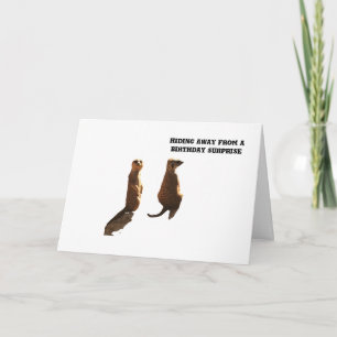 Födelsedag från Meerkats, kort