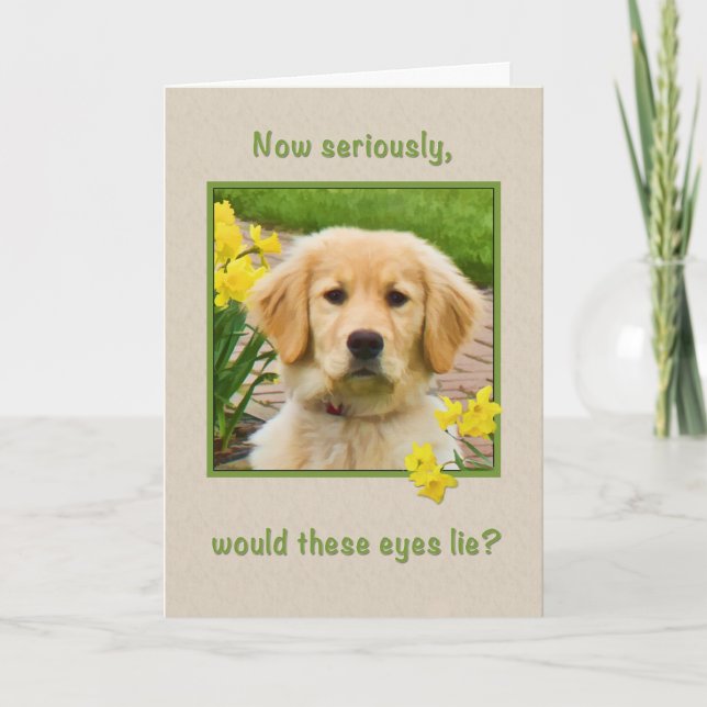 Födelsedag, Golden Retriever Hund, Daffodils Kort (Framsida)